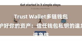 Trust Wallet多链钱包 保护好你的资产：信任钱包私钥的遑急性